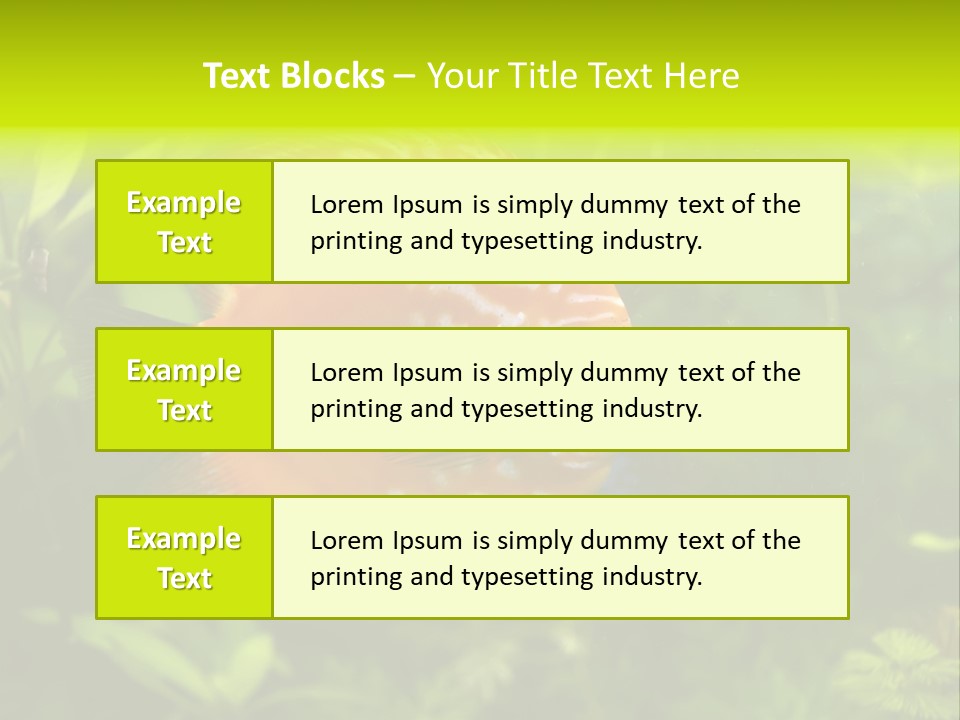 Underwater Wild White PowerPoint Template