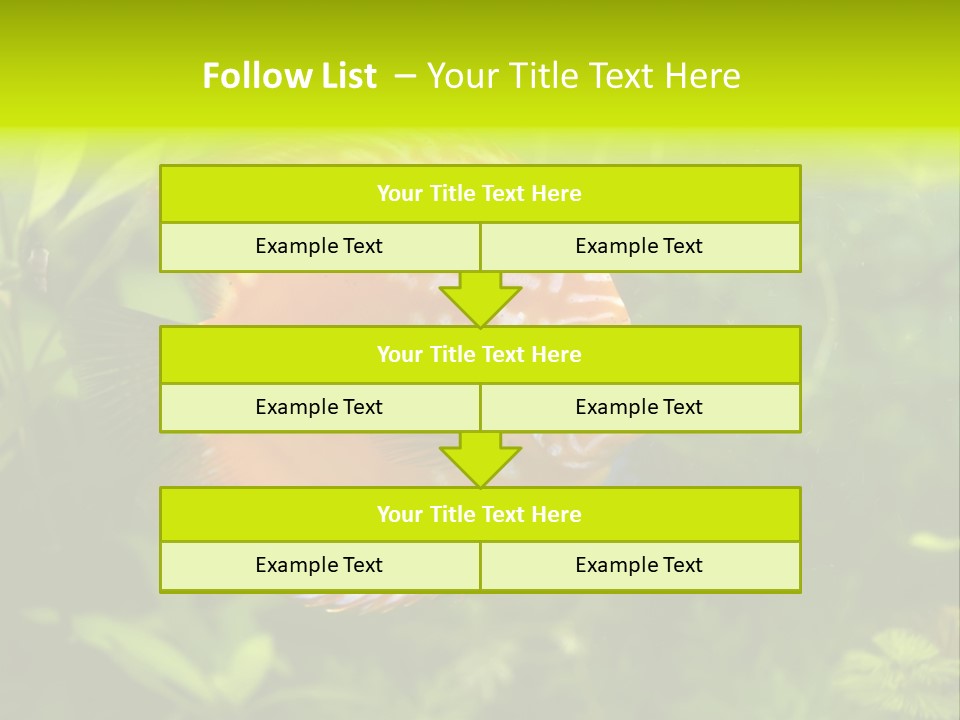 Underwater Wild White PowerPoint Template