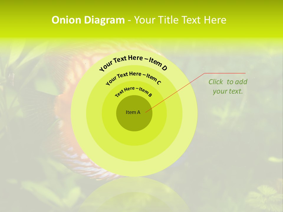 Underwater Wild White PowerPoint Template