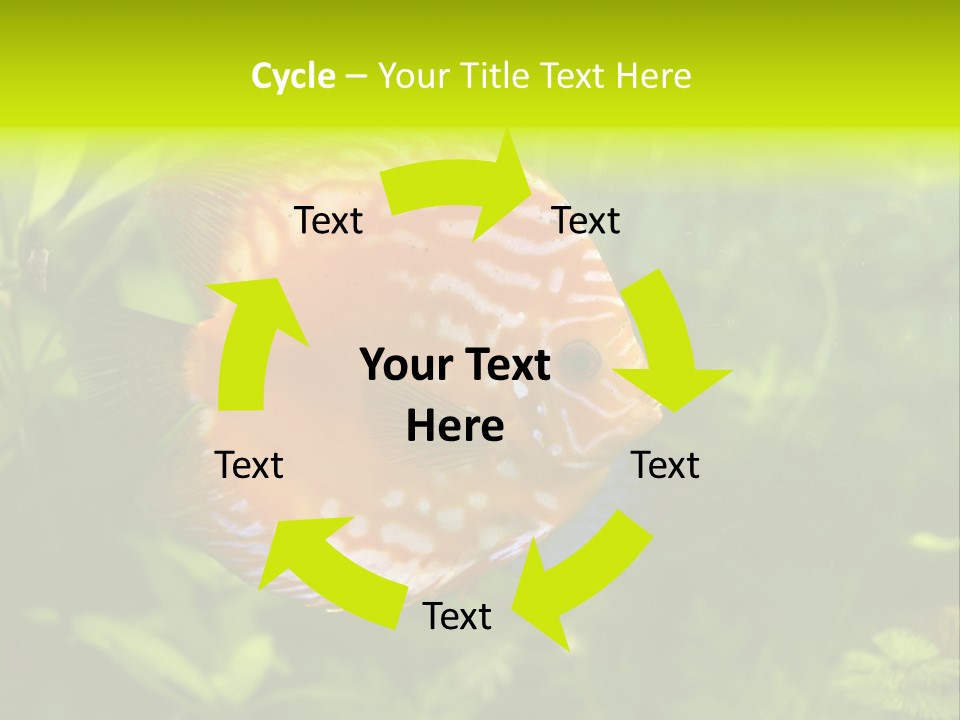 Underwater Wild White PowerPoint Template