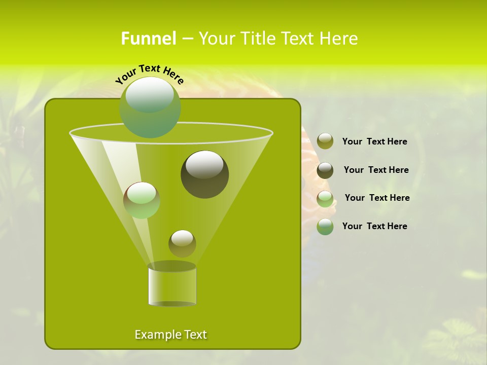 Underwater Wild White PowerPoint Template