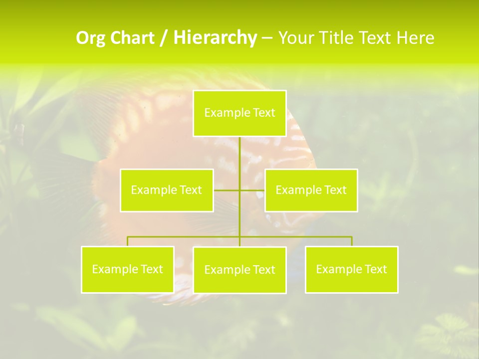 Underwater Wild White PowerPoint Template