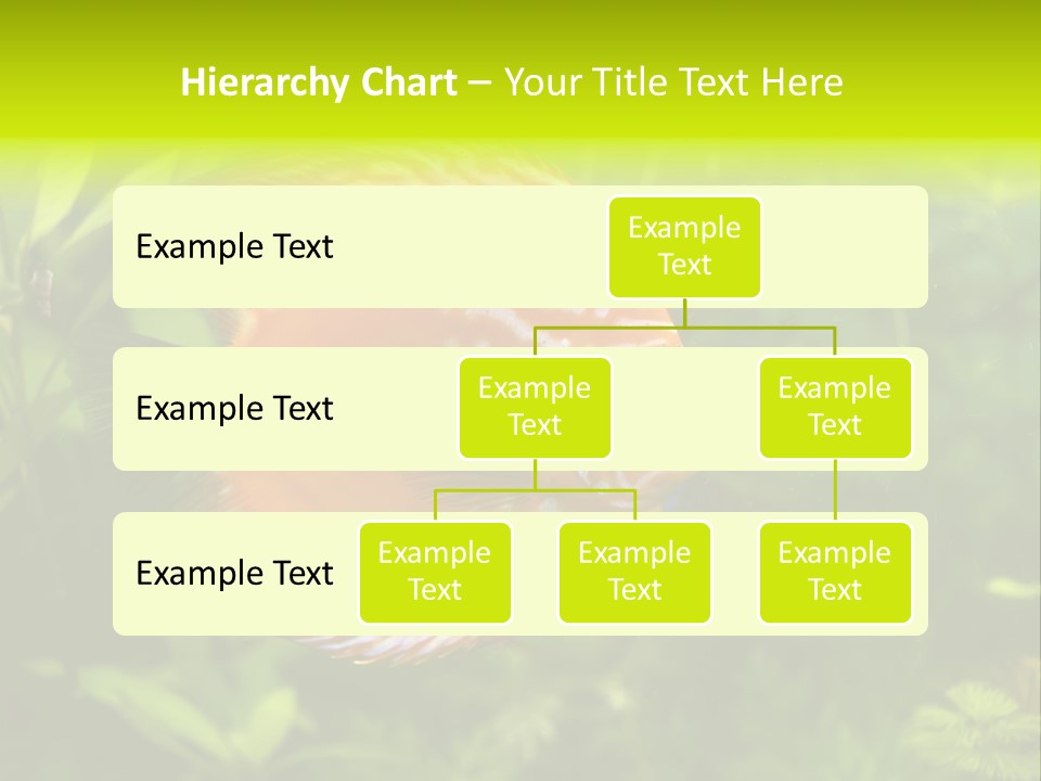 Underwater Wild White PowerPoint Template