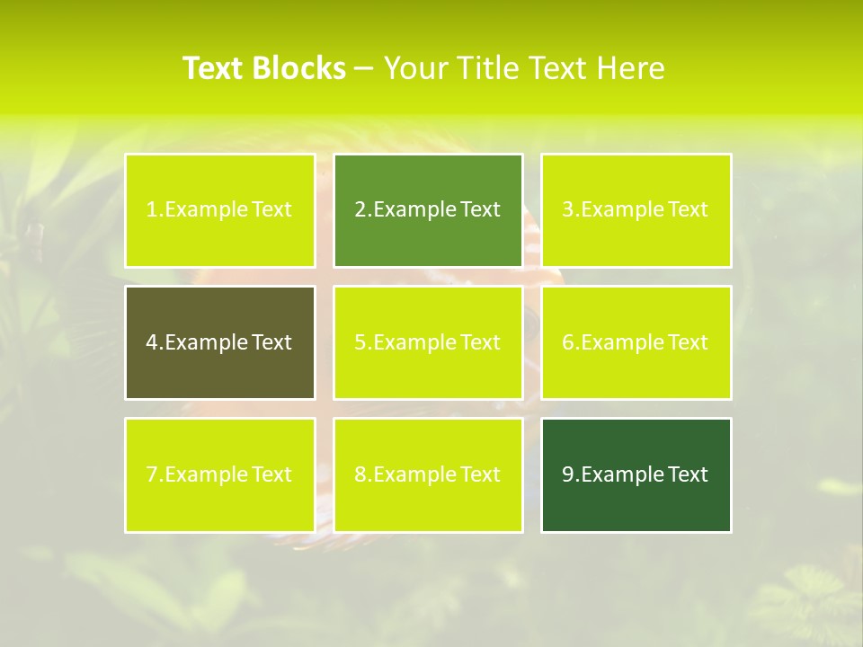 Underwater Wild White PowerPoint Template