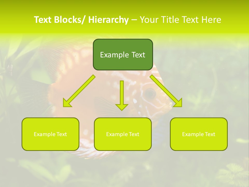 Underwater Wild White PowerPoint Template