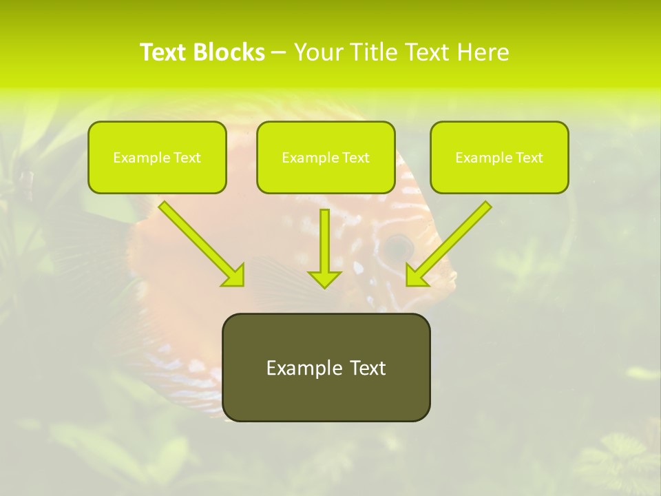 Underwater Wild White PowerPoint Template