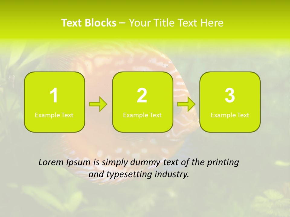 Underwater Wild White PowerPoint Template