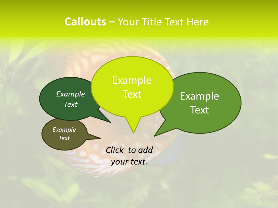 Underwater Wild White PowerPoint Template