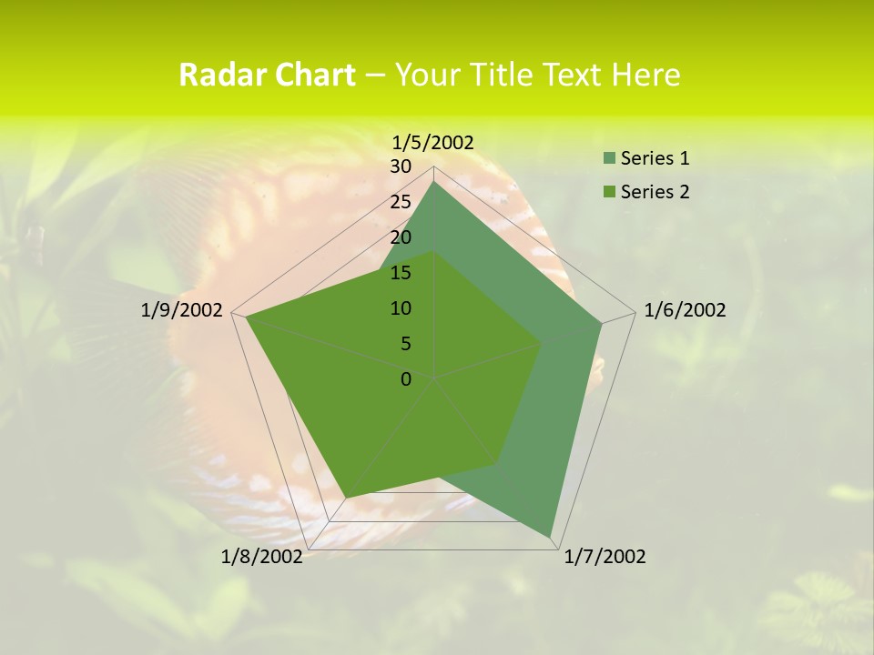 Underwater Wild White PowerPoint Template