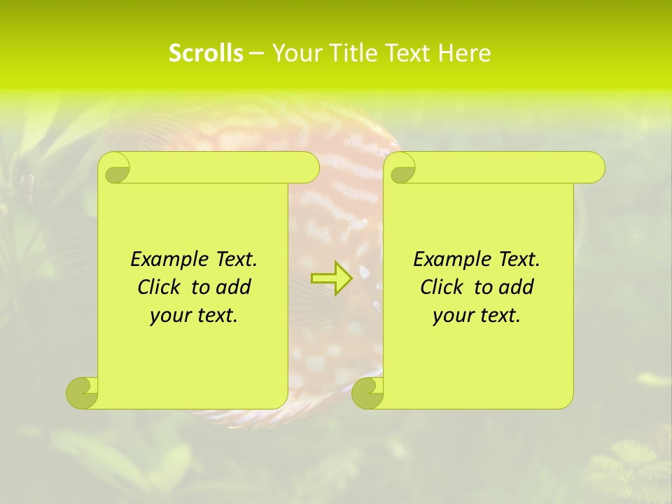 Underwater Wild White PowerPoint Template
