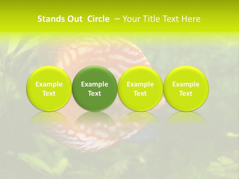 Underwater Wild White PowerPoint Template