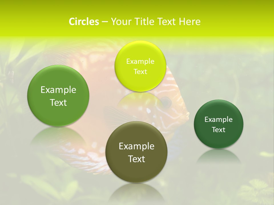 Underwater Wild White PowerPoint Template