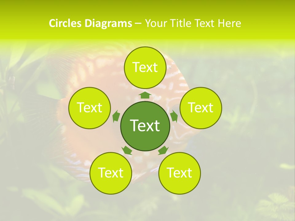 Underwater Wild White PowerPoint Template