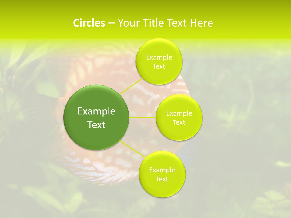 Underwater Wild White PowerPoint Template