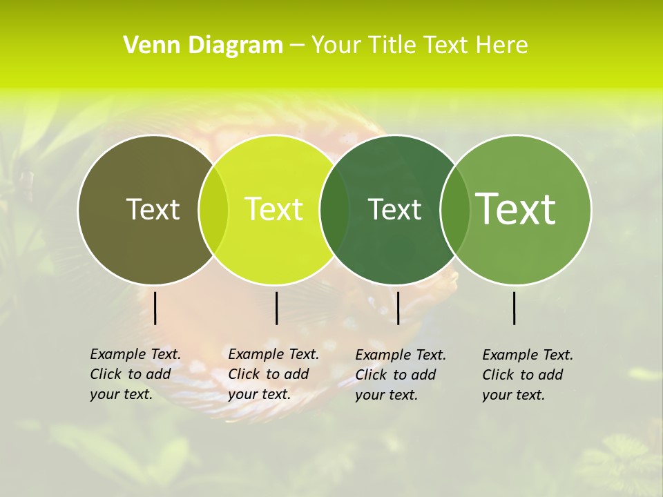 Underwater Wild White PowerPoint Template