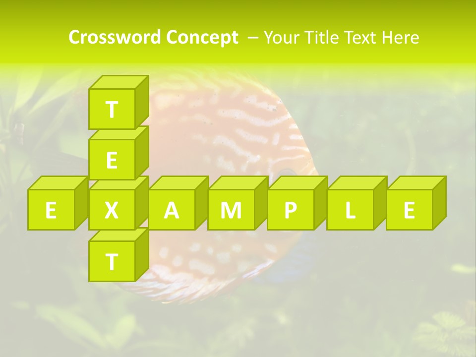 Underwater Wild White PowerPoint Template