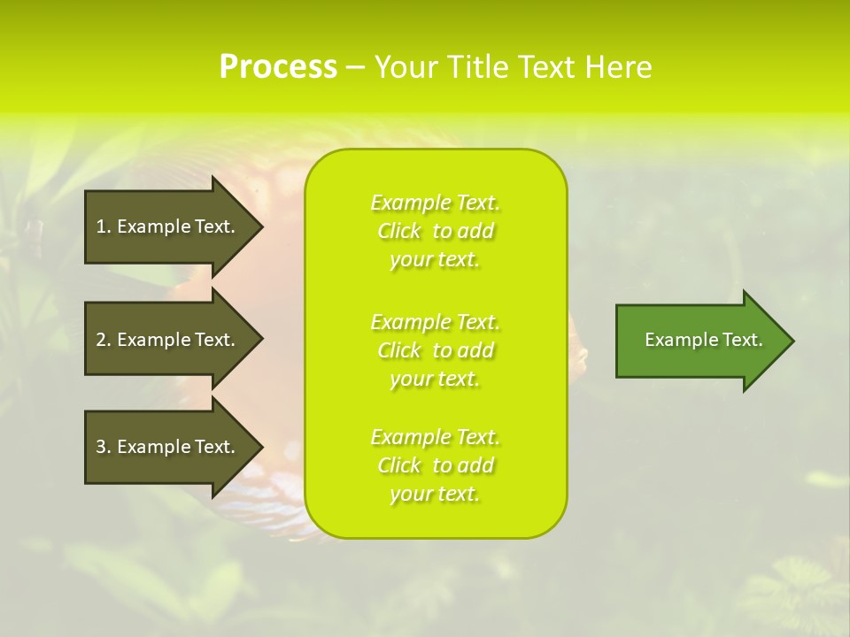 Underwater Wild White PowerPoint Template