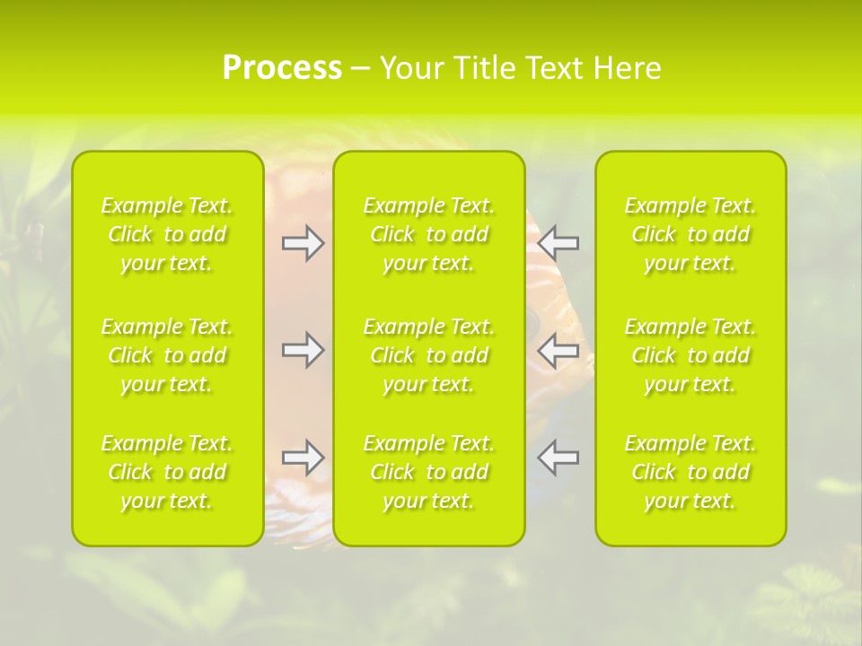 Underwater Wild White PowerPoint Template