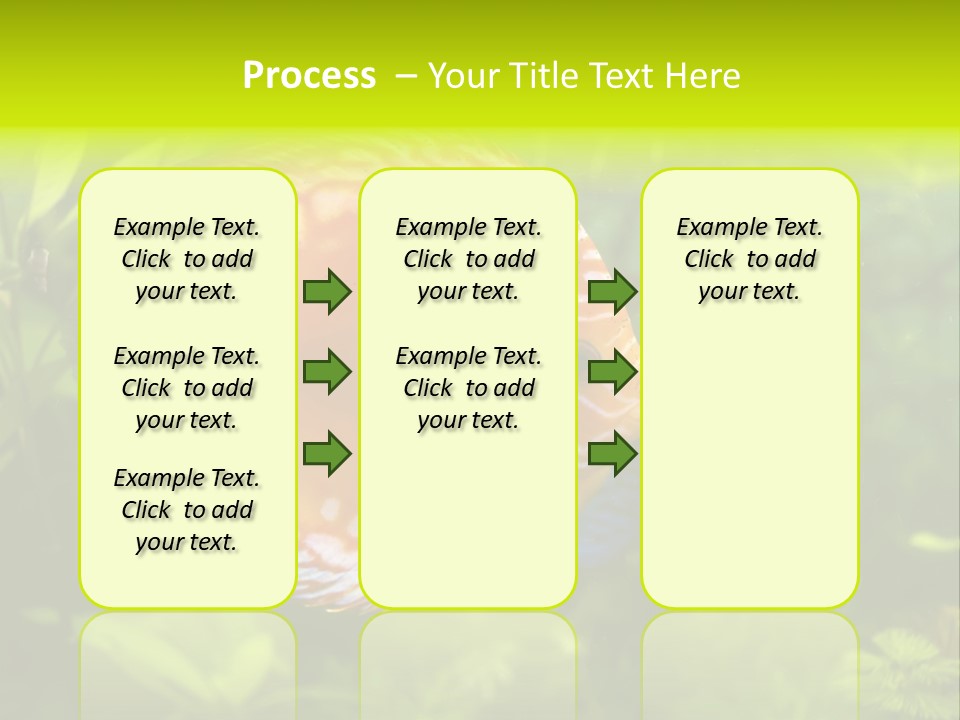 Underwater Wild White PowerPoint Template