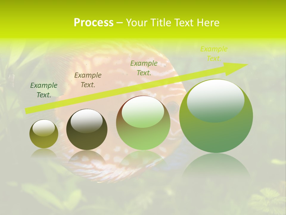 Underwater Wild White PowerPoint Template