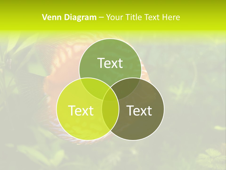 Underwater Wild White PowerPoint Template