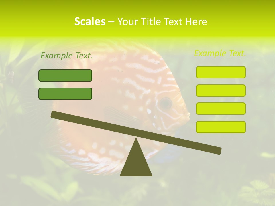 Underwater Wild White PowerPoint Template