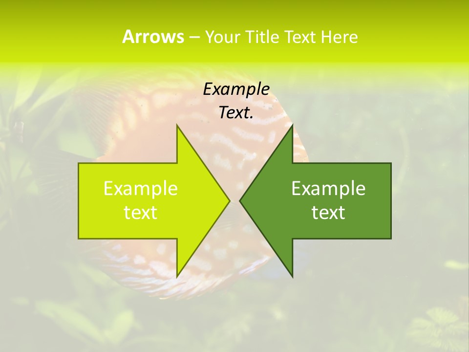 Underwater Wild White PowerPoint Template