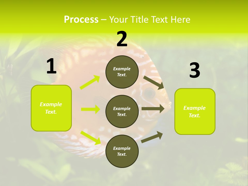 Underwater Wild White PowerPoint Template