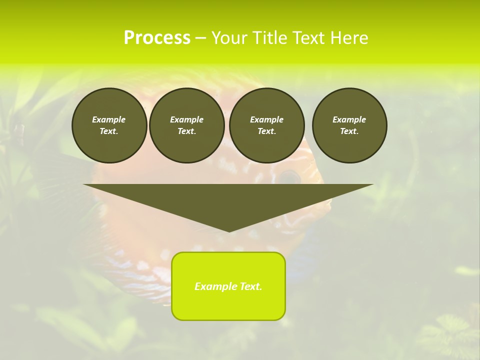 Underwater Wild White PowerPoint Template