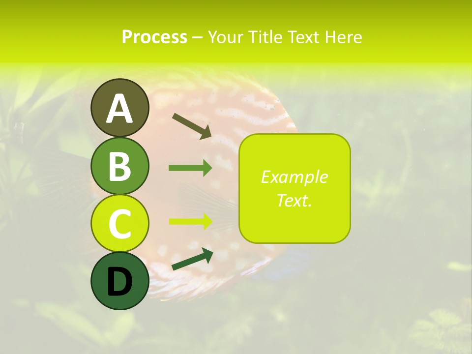 Underwater Wild White PowerPoint Template