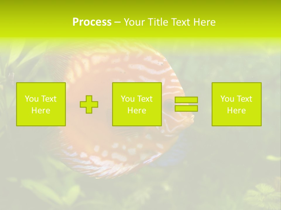 Underwater Wild White PowerPoint Template