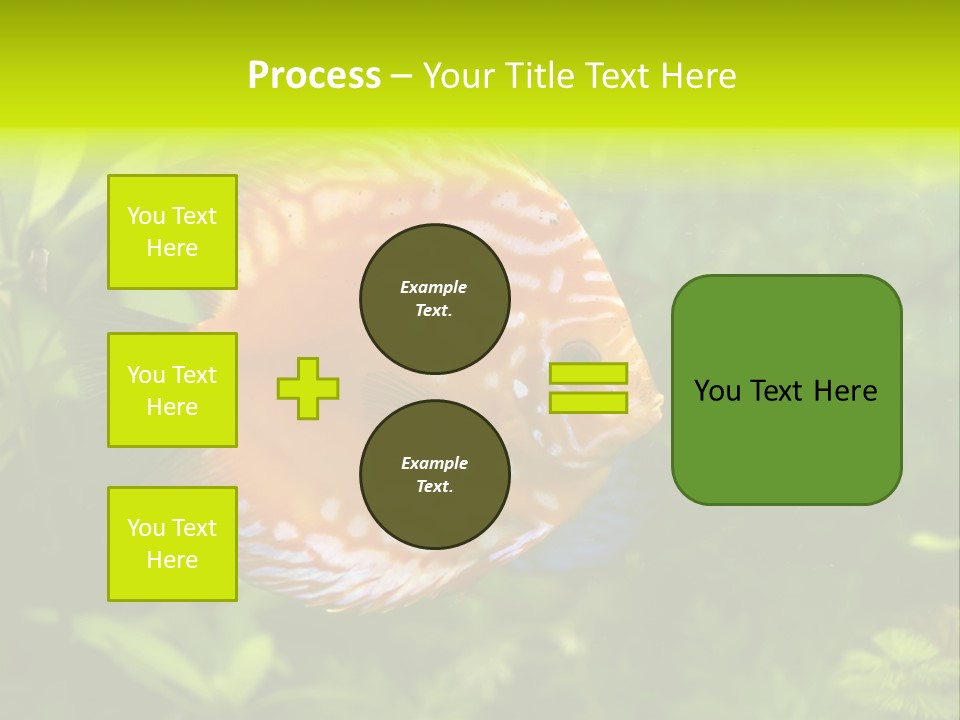 Underwater Wild White PowerPoint Template