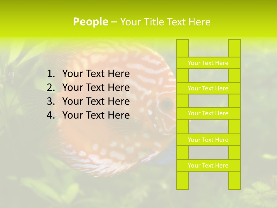 Underwater Wild White PowerPoint Template