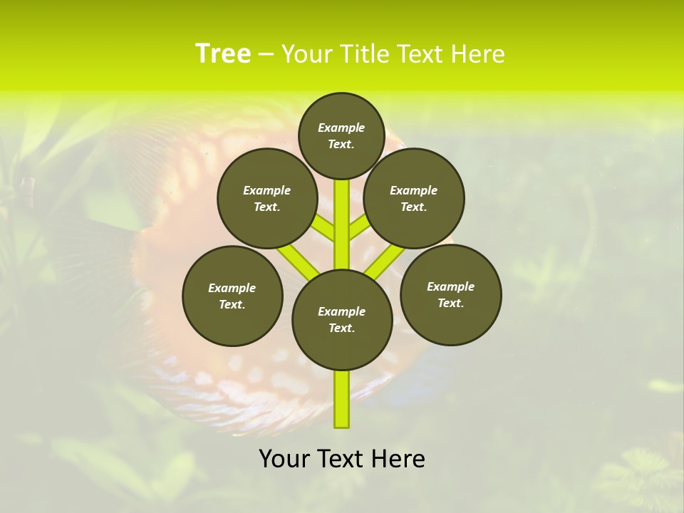 Underwater Wild White PowerPoint Template