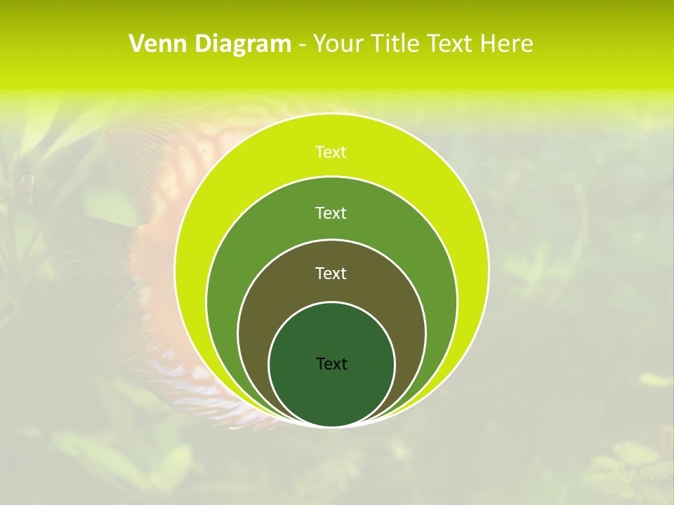 Underwater Wild White PowerPoint Template