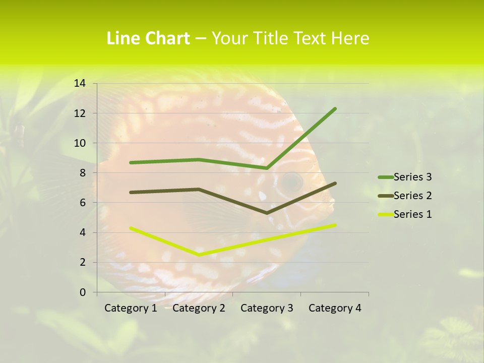 Underwater Wild White PowerPoint Template