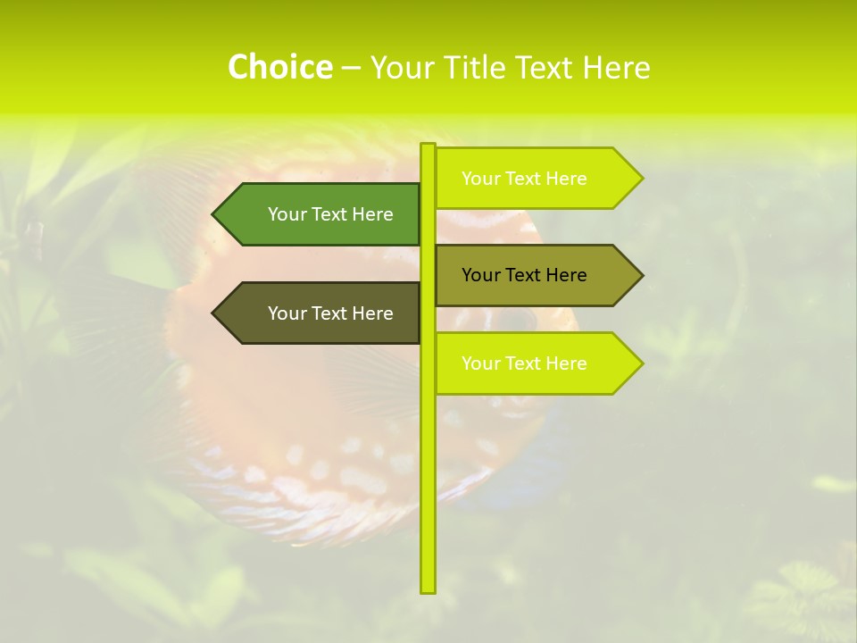 Underwater Wild White PowerPoint Template