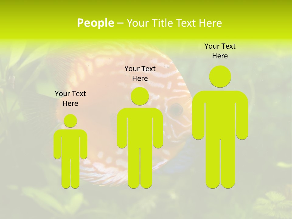 Underwater Wild White PowerPoint Template