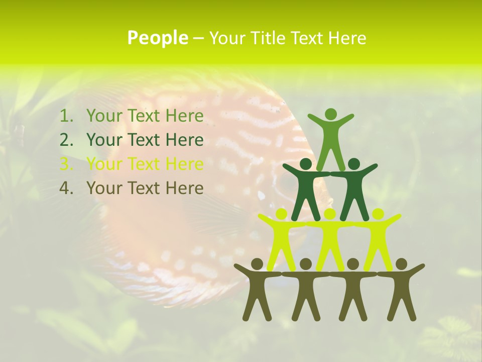 Underwater Wild White PowerPoint Template