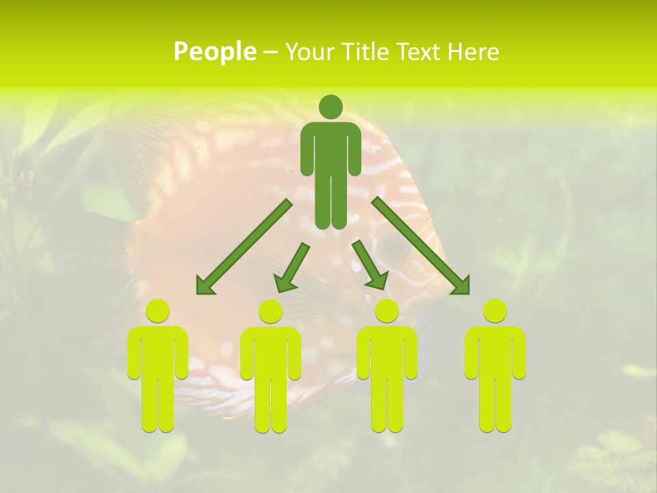 Underwater Wild White PowerPoint Template