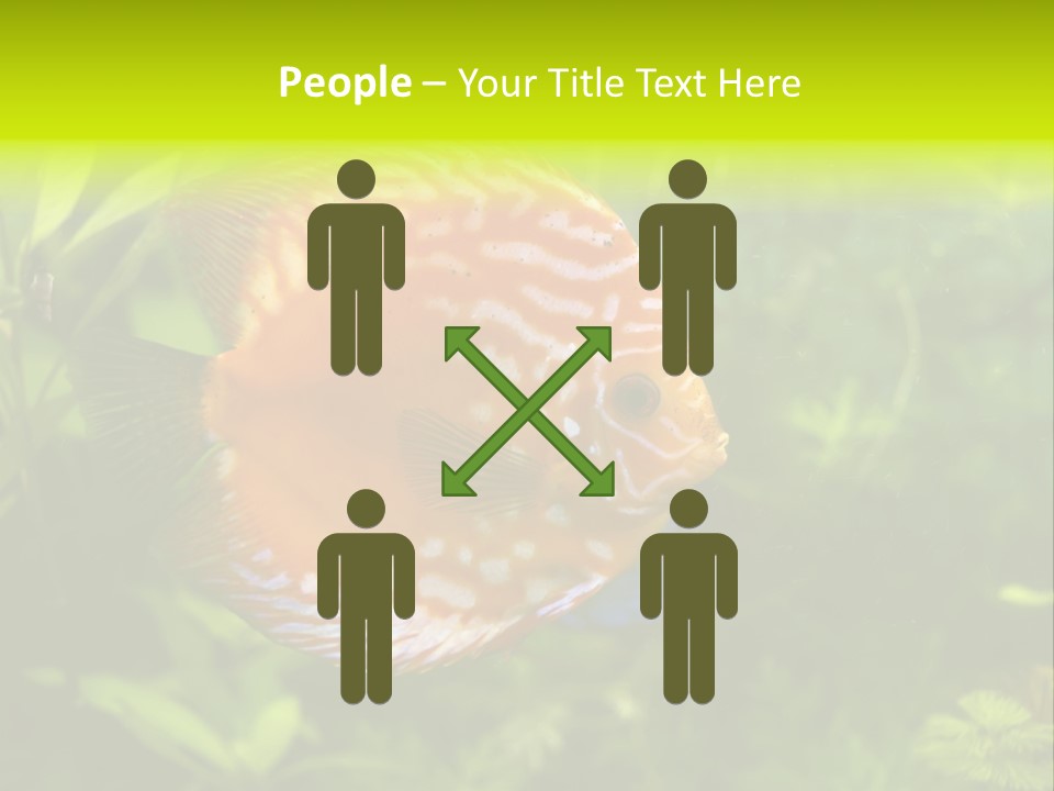 Underwater Wild White PowerPoint Template