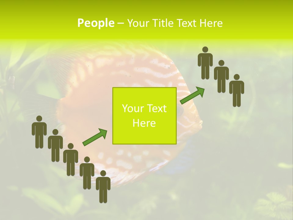 Underwater Wild White PowerPoint Template