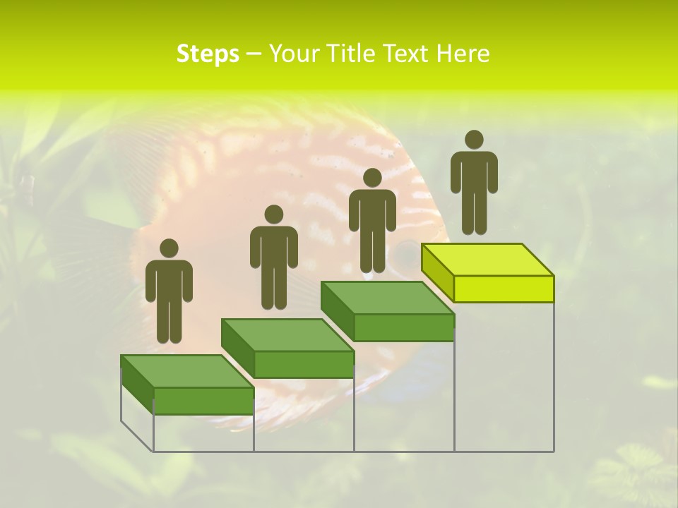 Underwater Wild White PowerPoint Template