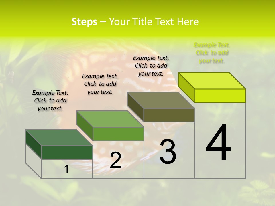 Underwater Wild White PowerPoint Template