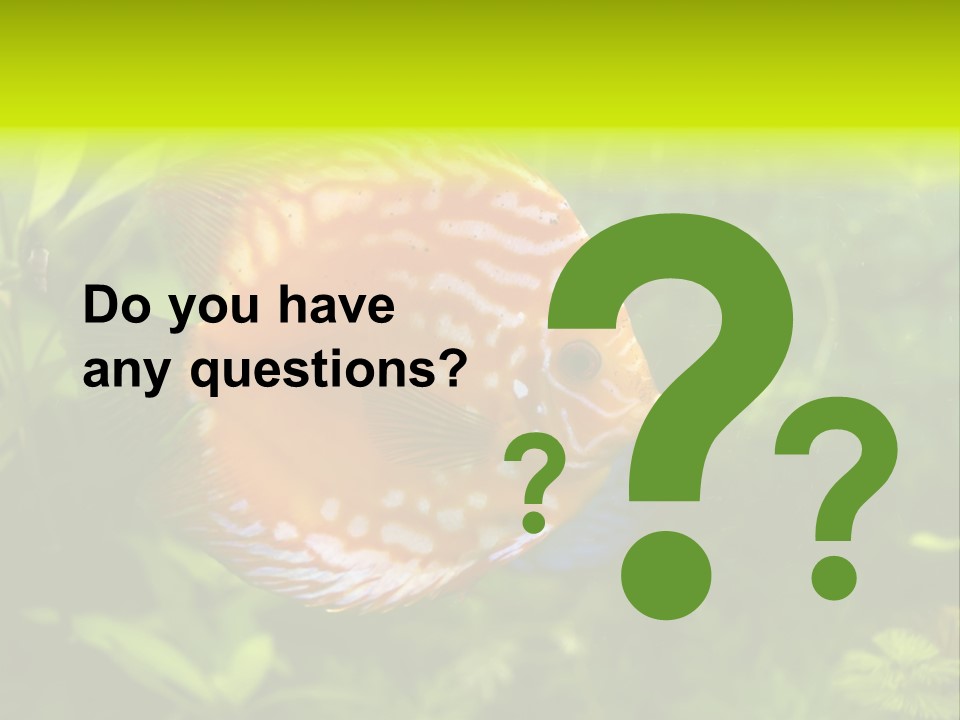 Underwater Wild White PowerPoint Template