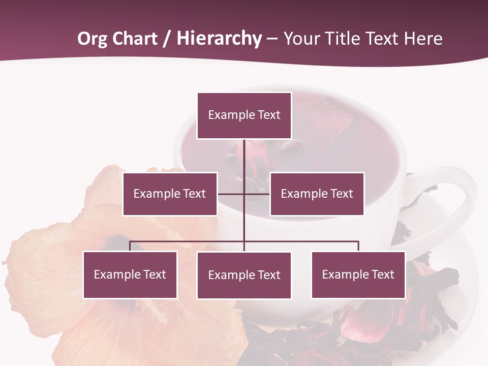 Flower Closeup Natural PowerPoint Template