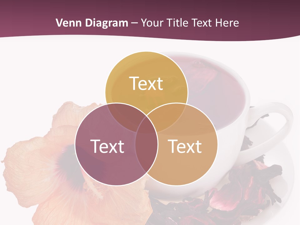 Flower Closeup Natural PowerPoint Template