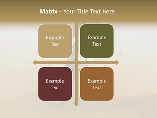 Race One Runner PowerPoint Template