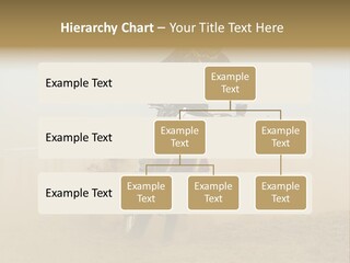 Race One Runner PowerPoint Template