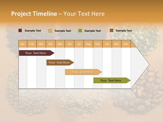 Soup Uncooked Isolated PowerPoint Template